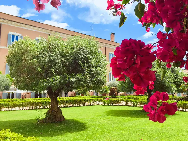 Ein kleines Gartenparadies erwartet uns im Hotel Kolbe – inklusive Olivenbäumen und Bougainvilleen.