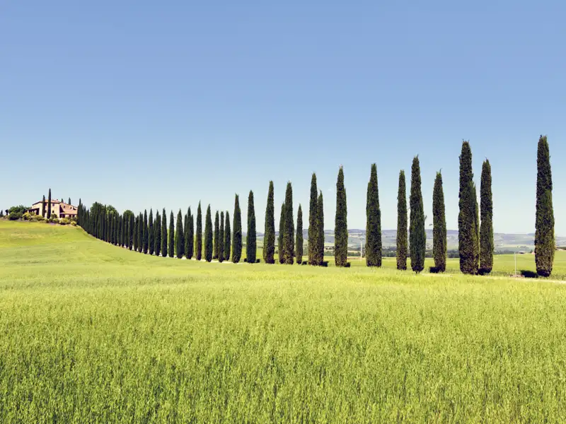 Die typisch toskanische Landschaft mit ihren Zypressenalleen begegnet uns während der Rundreise durch die Toskana in der Kleingruppe immer wieder.