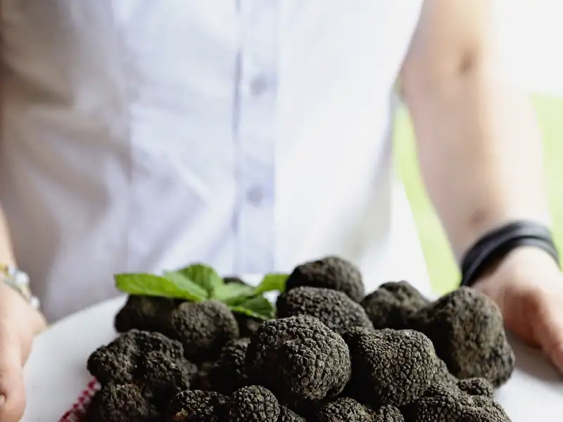 Trüffelfreuden erwarten Sie auf dieser Rundreise nach Triest und Istrien bei Familie Karlic in Kroatien.