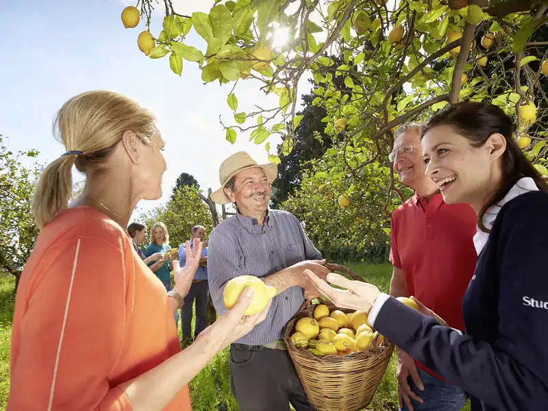 Erlebnis Zitronenhain auf unserer Studienreise in kleiner Gruppe durch Sizilien: Die Reiseleiterin und die Reisenden erhalten frische Zitronen vom Bauern.