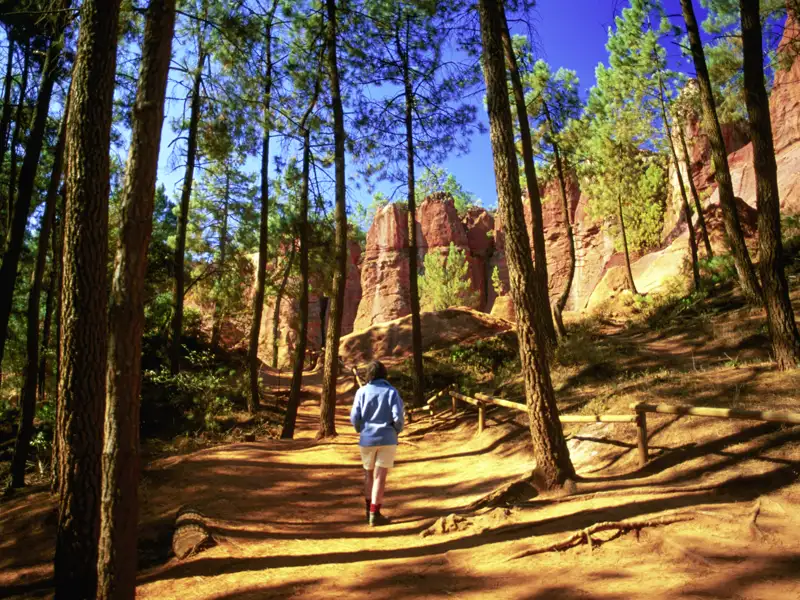 Einen unvergesslichen Spaziergang können Sie während Ihrer Studienreise in die Provence in den Ockerbrüchen von Roussillon erleben. Das Farbenspiel der Felsformationen mit dem Grün des Waldes und dem Blau des Himmels wird Sie verzaubern.