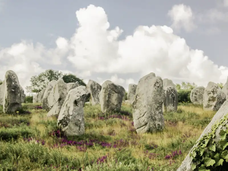 Auf unserer Studienreise in kleiner Gruppe durch die Bretagne rätseln auch wir: Was hat es mit den Reihen von Menhiren auf sich, die sich kilometerlang durch die Landschaft bei Carnac ziehen?