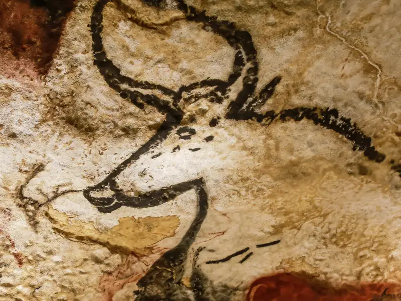 Auf unserer Reise nach Bordeaux und ins Périgord bestaunen wir auch die Höhlenmalereien in Lascaux, die einen großen gehörnten Ochsen, Pferde und Hirsche zeigen.