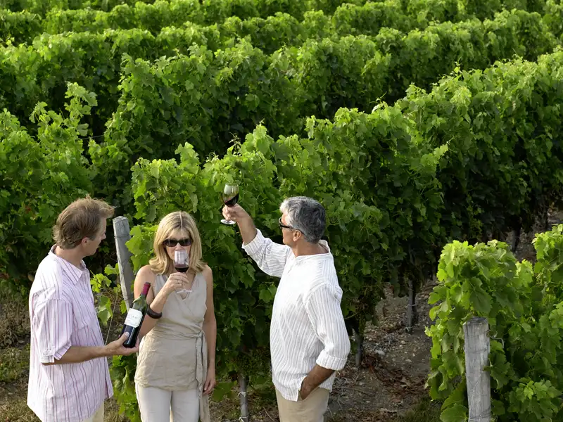 Bordeaux steht für Wein wie wenige andere Orte auf der Welt: Auf unserer Reise gehört eine Weinprobe selbstverständlich dazu!