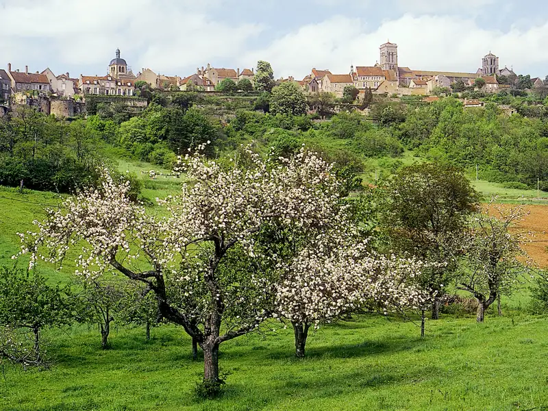 Kommen Sie mit auf unsere Studienreise ins Burgund und lernen Sie unter anderem den berühmten Wallfahrtsort Vézelay kennen – selbstverständlich mit fachkundiger Studiosus-Reiseleitung.