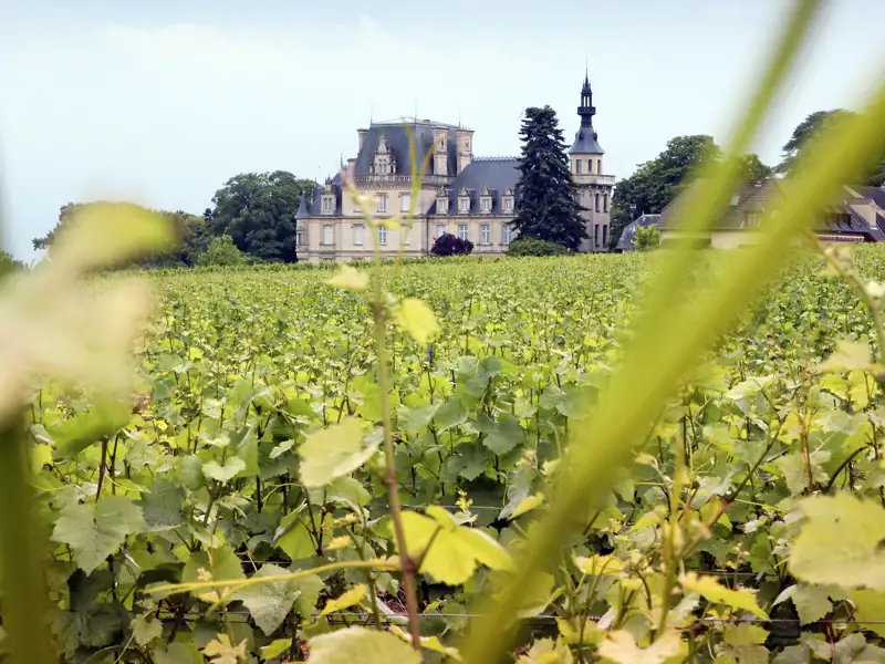 Denkt man an Burgund, denkt man sofort auch an den edlen Rotwein der Region. Während unserer Rundreise tauchen wir natürlich auch in die Welt der Burgunderweine ein und probieren die edlen Tropfen.
