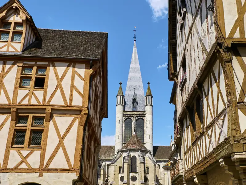 Fachwerkhäuser, die Kathedrale und kulinarische Schätze wie Senf oder Wein erwarten Sie, wenn wir auf unserer Rundreise durch das Burgund in Dijon Station machen.