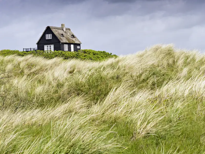 Auf unserer smart&small-Reise in die Niederlande kommt Urlaubsstimmung auf. Am Meer bei Scheveningen genauso wie in den faszinierenden Metropolen Amsterdam und Rotterdam