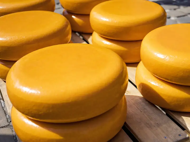 Gouda ist der Inbegriff für Käse aus den Niederlanden. Wir statten während unserer Rundreise dem wöchentlich stattfindenden Käsemarkt einen Besuch ab und bahnen uns den Weg zwischen den aufgestapelten, goldgelb leuchtenden Käselaiben.