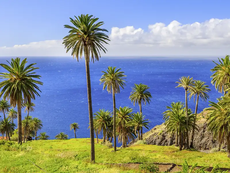 Grün, steil und terrassiert: Auf unserer Studiosus-Rundreise in kleiner Gruppe entdecken wir den fruchtbaren Norden von La Gomera mit seinen gigantischen Ausblicken auf den Atlantik.
