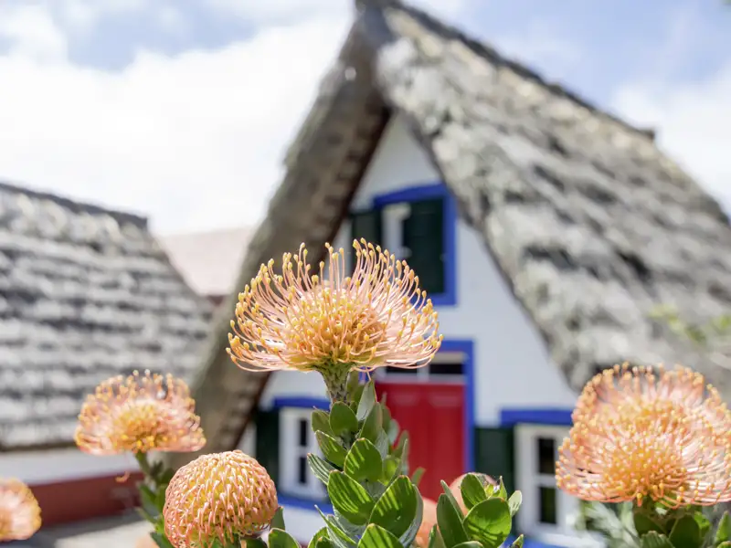 Auf unserer Rundreise durch Madeira in kleiner Gruppe lernen wir Land und Leute der schönen Insel kennen.