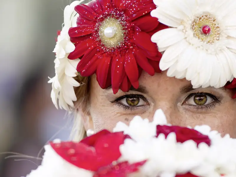 Die zahlreichen Blumen und ihre bunten Blüten auf Madeira schmücken die Insel wie die Menschen, wie wir auf unserer Rundreise sehen können.