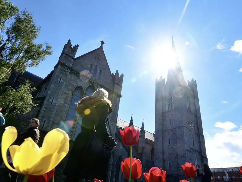 In Dublin gibt es gleich zwei Kathedralen. Eine davon ist die zu Ehren des Nationalheiligen Patrick, die wir auf unserer Rundreise besuchen.