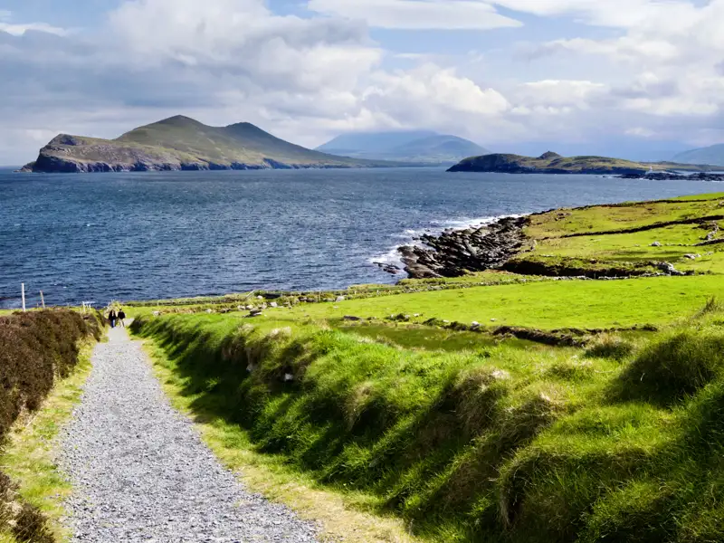 Die wunderschöne Natur der Grafschaft Kerry erkunden wir auf unserer Rundreise durch Irland bei einer Fahrt auf der berühmten Panoramastraße Ring of Kerry und bei Spaziergängen.