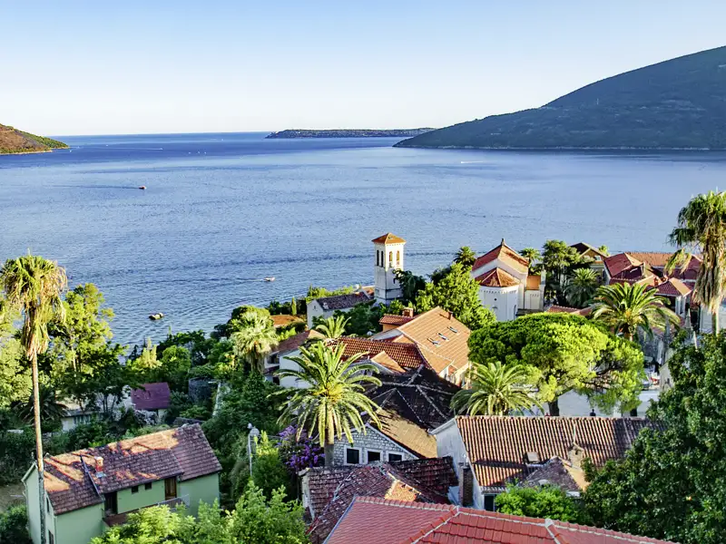 Panoramablick auf die Küstenstadt Herceg Novi mit roten Dächern und Palmen sowie auf das blaue Wasser der Bucht von Kotor
