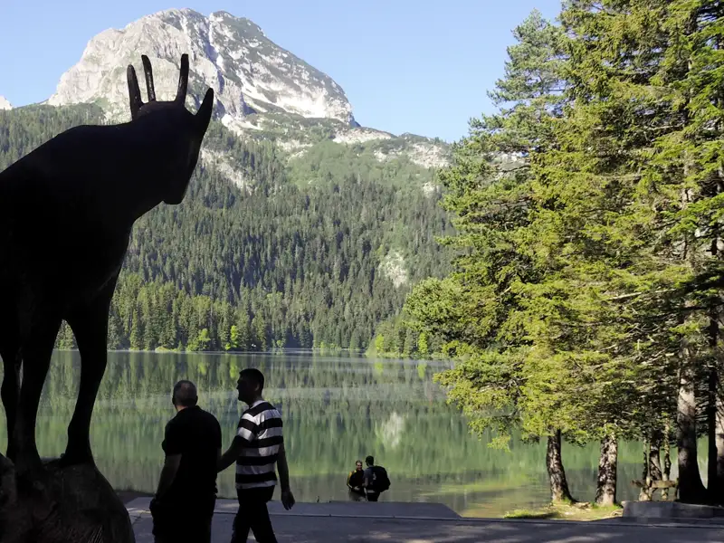 Im Durmitor-Nationalpark erwandern wir uns die magischen Naturschönheiten, genießen die Waldluft und halten Ausschau nach Auerhähnen.