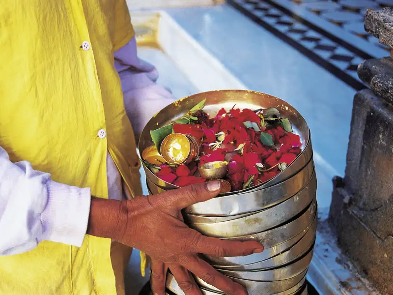 Auf unserer Studienreise Rajasthan mit Flair erleben wir nicht nur Pracht und Prunkt der Maharadschas. Wir erfahren auch vieles über das indische Kastenwesen und die verschiedenen Religionen im Lande. Hier trägt ein Brahmanenpriester Schalen mit Opfergaben für die Hindugötter im Tempel.