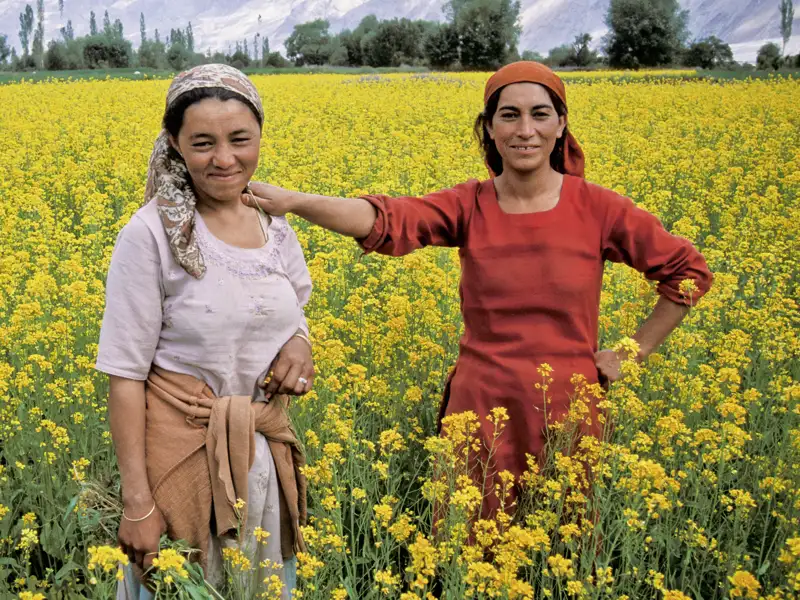 Auf unserer Studiosus Expeditionsreise durch Ladakh sehen wir auch blühende Rapsfelder und kommen immer wieder in Kontakt mit den gastfreundlichen Ladakhi