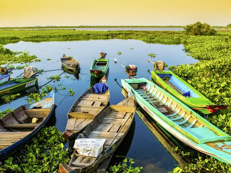 Nachmittags halten wir am Tonle Sap, dem größten Süßwassersee Südostasiens. Im Dorf Kampong Khleang, wo Holzhäuser auf Riesenstelzen aus dem Wasser ragen, warten am Anleger schon die Boote. Auf unserer kleinen Seerunde kommen wir vorbei an schwimmenden Dörfern mit Kirchen, Schulen und Schweineställen, die auf dem Wasser schaukeln und sich im Monsunrhythmus heben und senken.