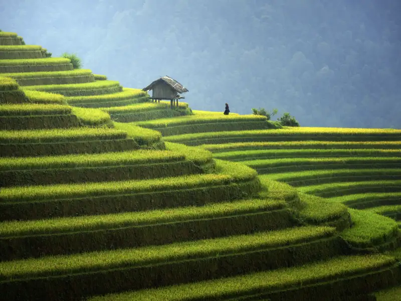 Unsere Studienreise nach Vietnam führt auch in das reisgrüne Hochland von Sapa