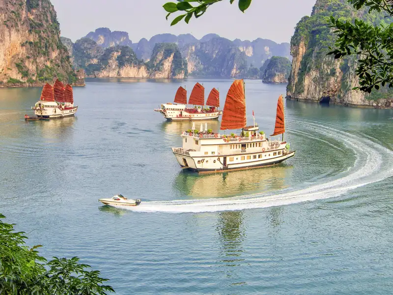 Auf unserer Studienreise mit Flair durch Vietnam führt uns der Weg auch in die Halongbucht, wo wir zwei Nächte auf einem der traditionellen Boote, einer Dschunke, übernachten.