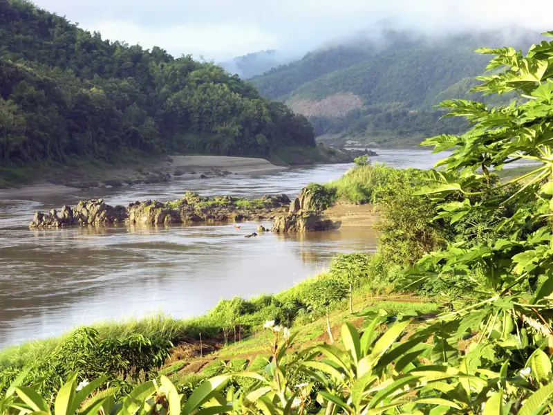 Die Studienreise nach Laos führt durch faszinierende Landschaften. Im Süden von Laos bahnt sich der Mekong seinen Weg vorbei an üppig grünen Hügeln, Sandbänken und Bananenstauden.