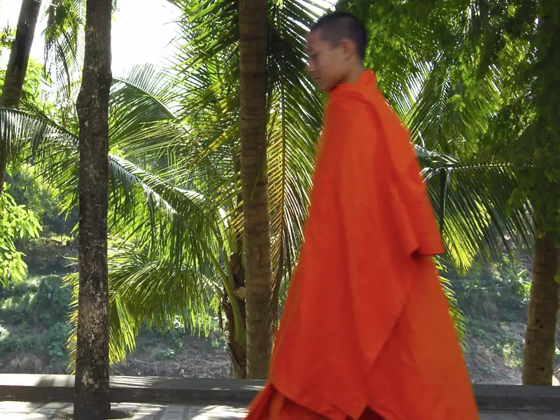 Bei der Studienreise durch Laos, dem geheimnisvollen Reich am Mekong, begegnen Sie immer wieder buddhistischen Mönchen in ihren orangenen Roben.
