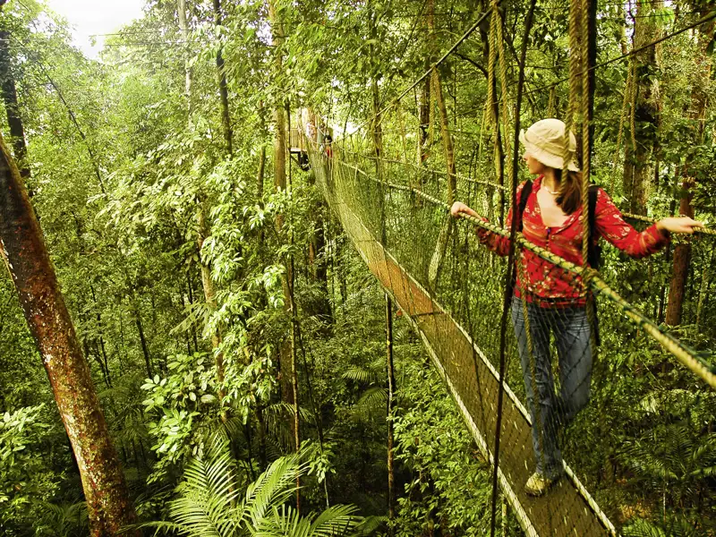 Wir erkunden auf unserer Studienreise nach Malaysia den Taman-Negara-Nationalpark und laufen durch den Regenwald.