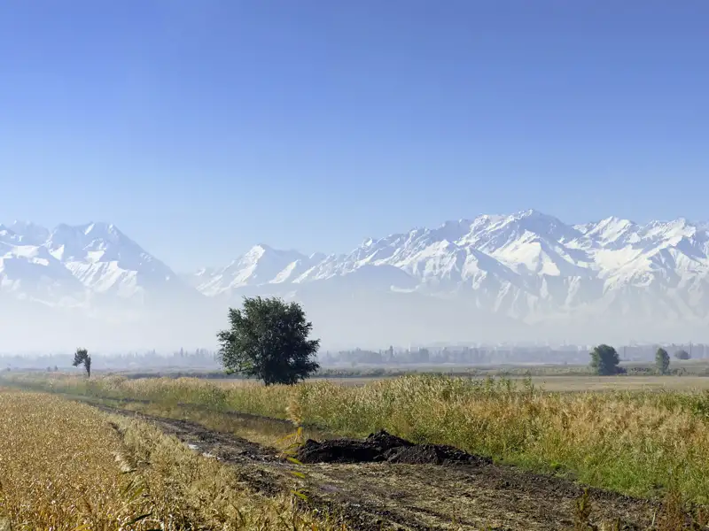 Weite Steppenlandschaften und hohe Gipfel, wie hier die des Tianshan-Gebirges, prägen die Landschaft Kirgisistans, die Sie auf unserer 15-tägigen Studienreise durch Usbekistan und Kirgisistan erleben.
