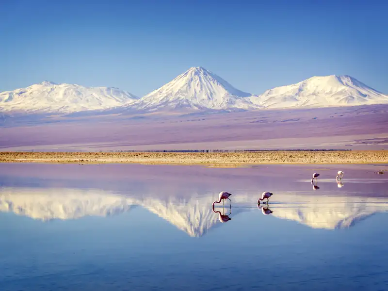 Die Route der Studiosus-Reise durch Chile, Bolivien und Peru führt Sie in große Höhen - zu einzigartigen landschaftlichen Höhepunkten.