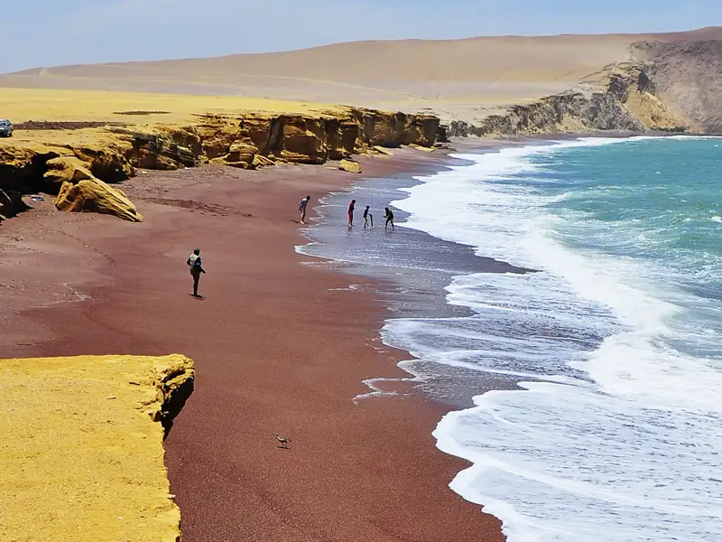 Auf unserer Studienreise durch Peru besuchen wir auch den Ort Paracas. Dort trifft der blaue Pazifik auf die gelb-braunen Felsen des Strandes - ein beeindruckendes Farbenspiel der Natur.