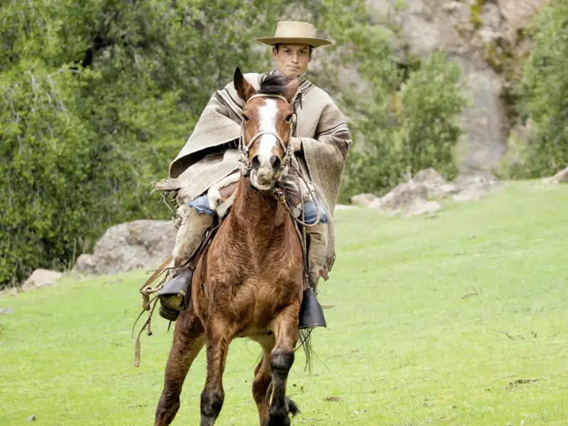 In der Weite Patagoniens sind wir auf unserer 21-tägigen Naturerlebnis-Studienreise Argentinien - Chile - mit Atacamawüste auf einer Estancia zu Gast, wo uns die Gauchos von ihrem Leben auf dem Pferderücken erzählen. Dazu probieren wir Matetee - eine Portion argentinischen Lebensgefühls.