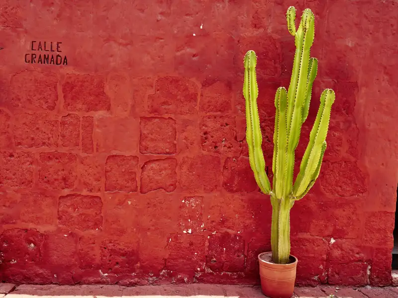 Südamerika fasziniert mit sattem Leben und prallen Farben - zwischen Peru und Brasilien erleben wir auf unserer Studienreise die ganze Palette an südamerikanischer Lebensfreude!