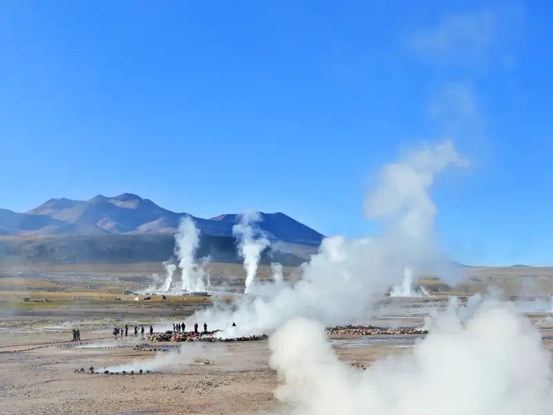 Auf unserer Studienreise durch Chile heißt es am zwölften Tag früh aufstehen, denn ein besonderes Naturspektakel wartet: die Geysire von El Tatio. In der klaren Morgenluft der Atacamawüste bringen die ersten Sonnenstrahlen die nächtlichen Eishauben der heißen Quellen zum Schmelzen, mächtige Dampfsäulen steigen in den Himmel. Wir erleben die mystische Pracht dieses geothermischen Wunders hautnah – ein unvergessliches Highlight dieser Chile-Reise.