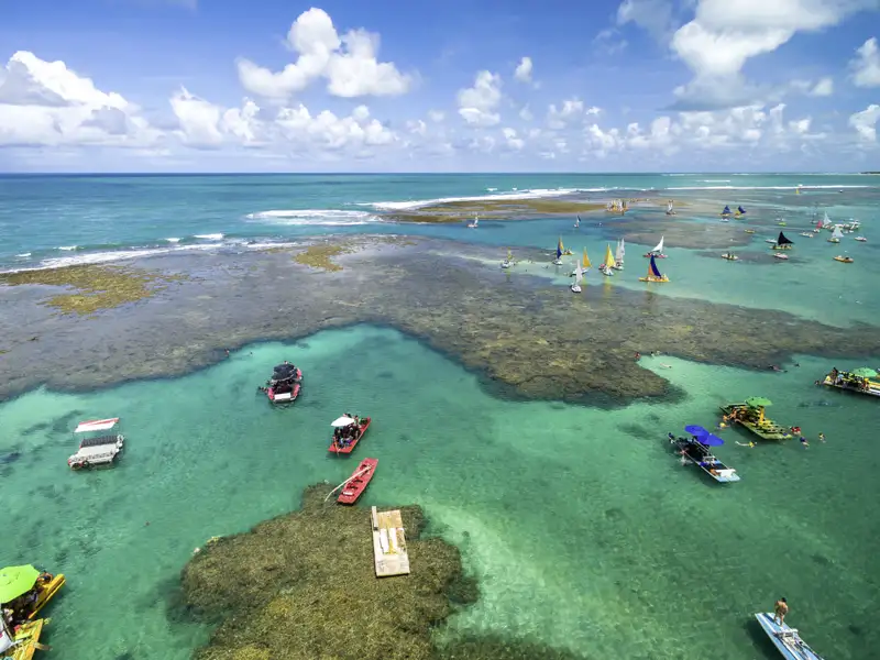 So wie der Regenwald des Amazonas gehören auch Küste, Strand und Meer untrennbar zu Brasilien: Auf unserer Studienreise durch Brasilien lernen wir beides kennen.