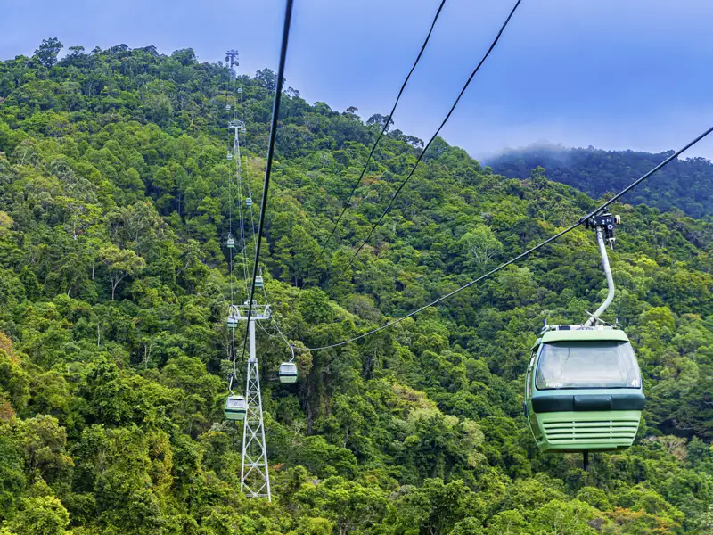 Auf unserer großen Australienreise unternehmen wir eine Seilbahnfahrt durch den Regenwald in Queensland, der schon James Cameron zu seinem Film "Avatar" inspirierte.
