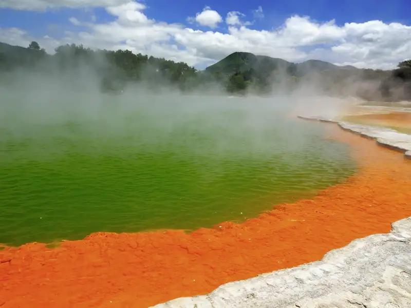 Das Thermalfeld von Rotorua ist eine der größten vulkanisch aktiven Zonen der Welt. Wir besuchen auf unserer großen Neuseeland-Studienreise auch den bekannten Champagne Pool mit seinen namensgebenden Gasblasen.