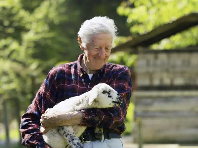 Liebevoll blickt ein neuseeländischer Farmer im karierten Wollhemd auf das Lamm, das er im Arm hält. Noch immer ist Schafzucht eine wichtige Einnahmequelle auf der Südinsel, die wir auf unserer Studienreise mit Muße in Neuseeland umfassend kennenlernen. Jedes Jahr werden Tausende Merinoschafe geschoren; hier bekommt man die besten Pullover. Die Zahl der Schafe ist jedoch in den letzten Jahren zurückgegangen.