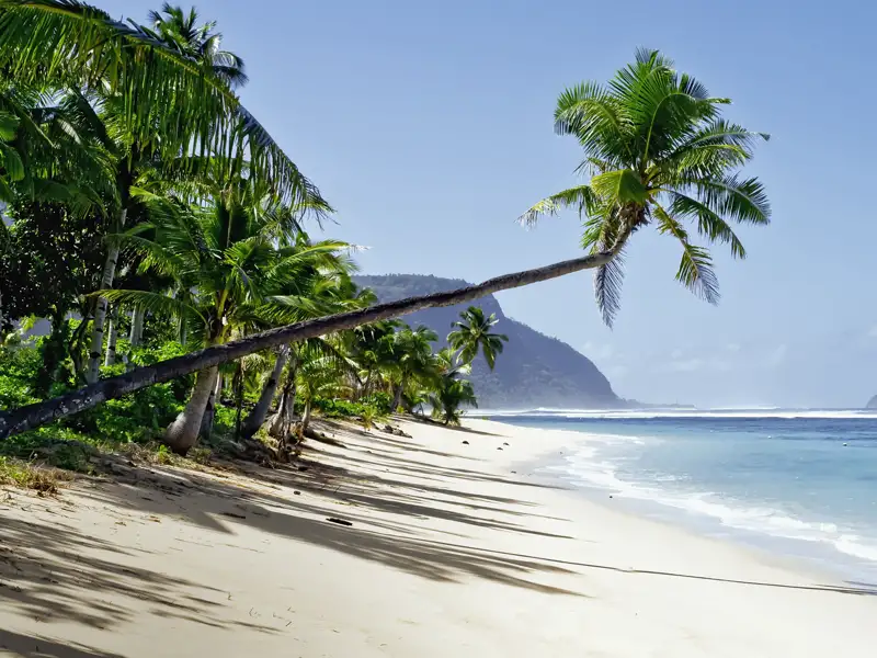 Regenwälder, Bergpässe, kleine Kraterseen, Wasserfälle: Upolu, die Hauptinsel in Samoa, ist das reine Naturparadies. Auf einer Rundfahrt holen wir uns beim Schwimmen in einer türkisfarbenen Lagune Appetit, denn es erwartet uns ein Barbecue am Strand unter Palmen.