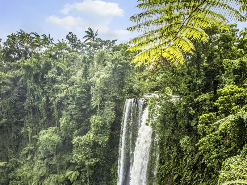 Regenwälder, Bergpässe, Wasserfälle – ein echtes Naturparadies erleben wir auf der Rundfahrt über die Insel Upolu.