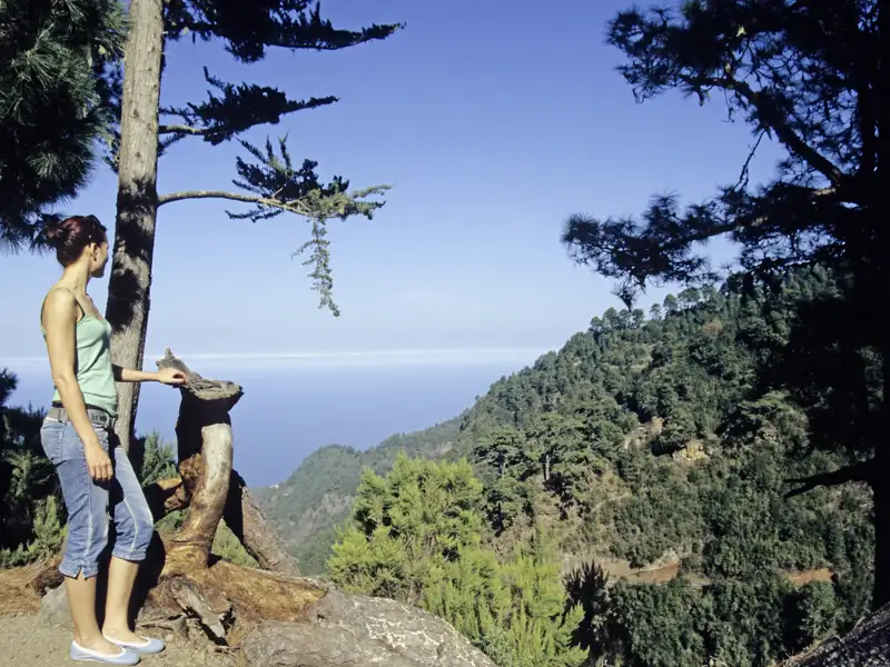 Auf unserer me & more-Reise nach La Palma erwarten Sie atemberaubende Ausblicke und unvergessliche Naturerlebnisse, darunter spektakuläre Blicke auf die wilde Inselnatur der Kanaren.