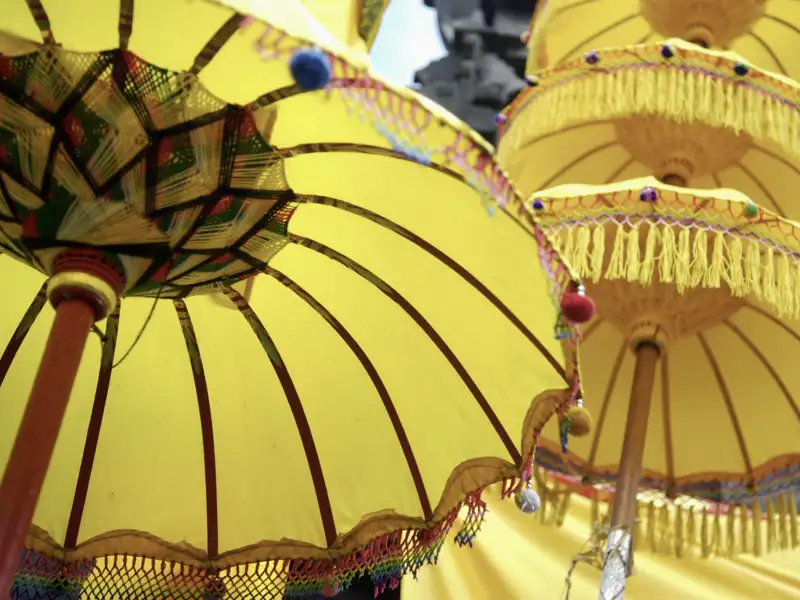 Auf unserer umfassenden Studienreise durch Indonesien erwarten uns mystische Tempel und sattgrüne Reisterrassen auf Bali und goldgelbe Strände - zwischendurch erblicken wir immer wieder die typischen Schirme der Locals.