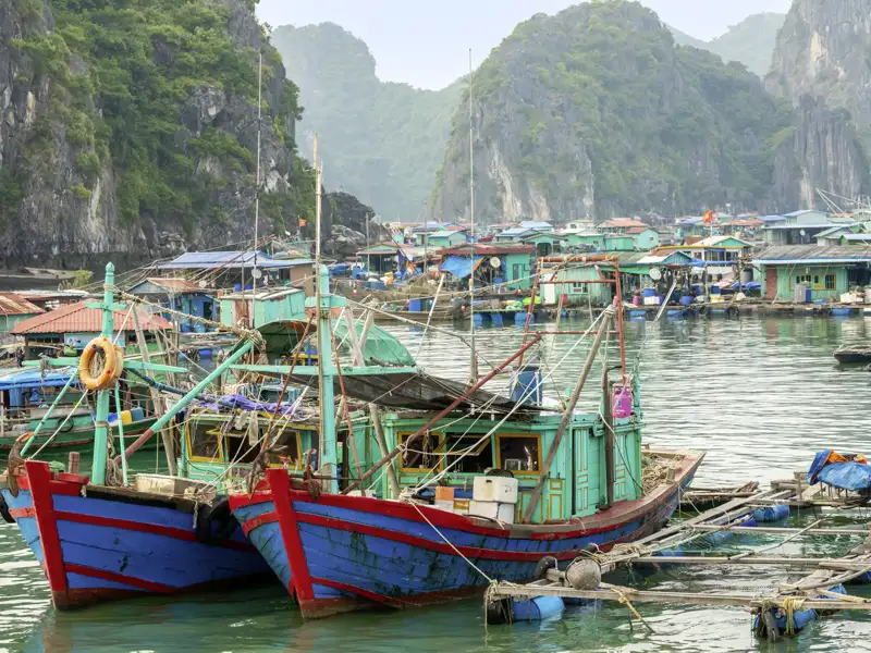 Nachmittags bringt uns ein Boot zum schwimmenden Fischerdorf Cai Beo, dessen Häuschen nach jahrtausendealter Tradition auf dem Wasser schaukeln.