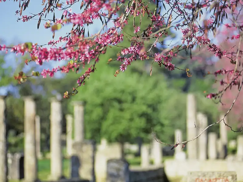 Auf unserer Wanderreise durch Griechenland besuchen wir auch die antiken Wettkampfstätten in Olympia.