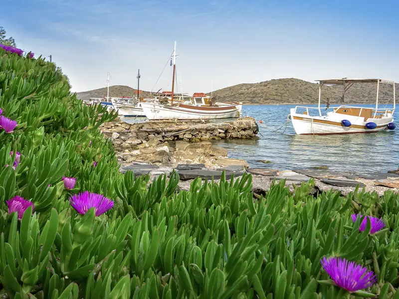 Auf unserer Studienreise Kreta mit Muße machen wir auch immer wieder in kleinen Hafenorten Station.