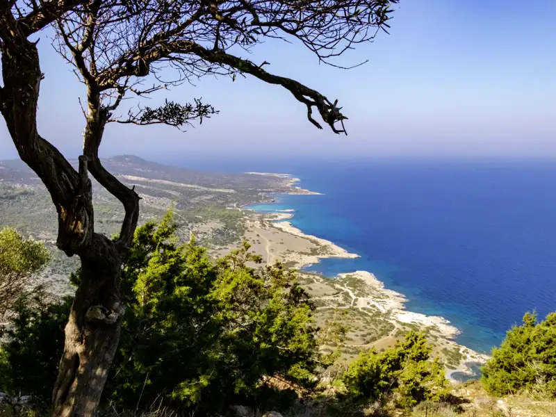 Während unserer Wanderreise durch Zypern erhaschen wir immer wieder einen beeindruckenden Panoramablick auf die Küste von Zypern mit blauem Meer.