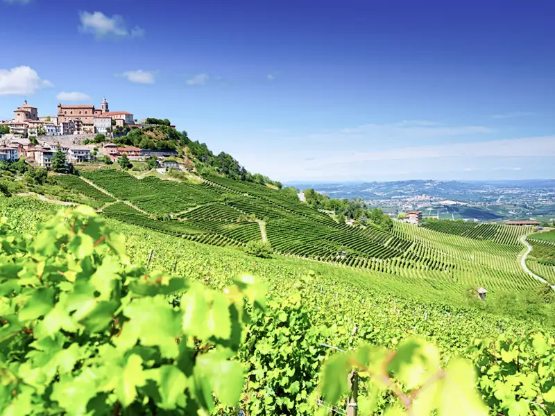 Herrlicher Ausblick über die Hügel von La Morra im Piemont