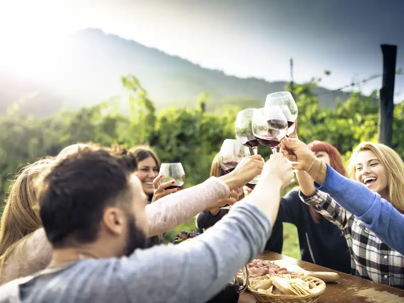 Eine Gruppe von Freunden stößt während einer Weinprobe in den Weinbergen mit Rotweingläsern an.