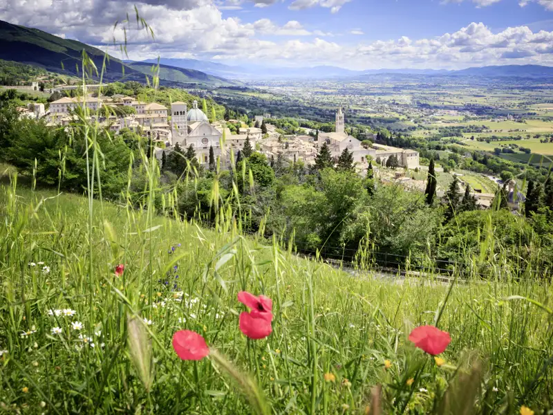 Auf unserer Studiosus-Reise nach Umbrien erleben wir, wie Kultur und Landschaft in dieser Region zusammenfließen, nicht nur in Assisi, einem der Höhepunkte unserer Reise.