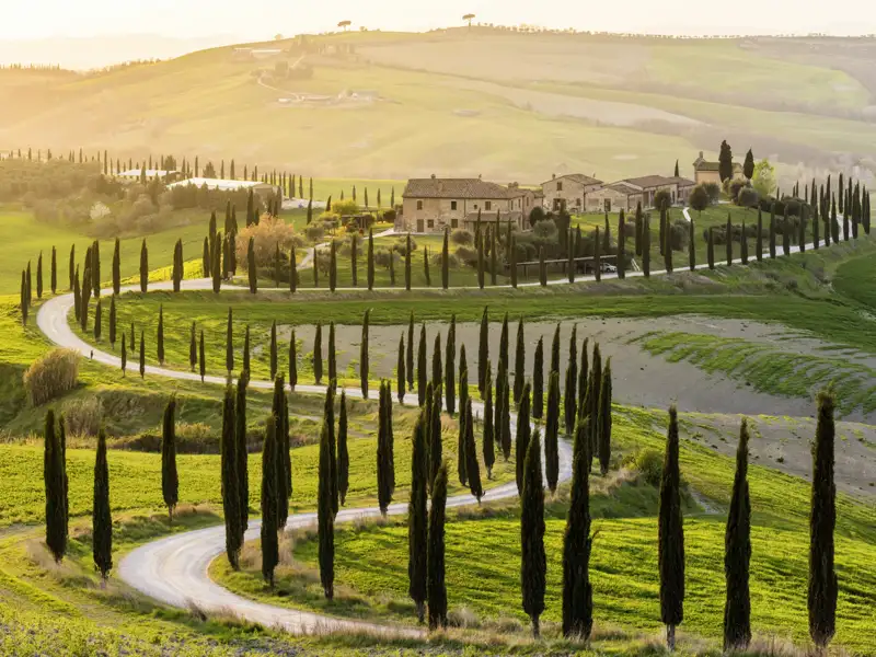 Auf unserer Studienreise in die Toskana durchqueren Sie während der Bus- und Bahnfahrten viele unterschiedliche toskanische Landschaften, hier etwa das Landschaftsschutzgebiet Val d'Orcia bei Siena.